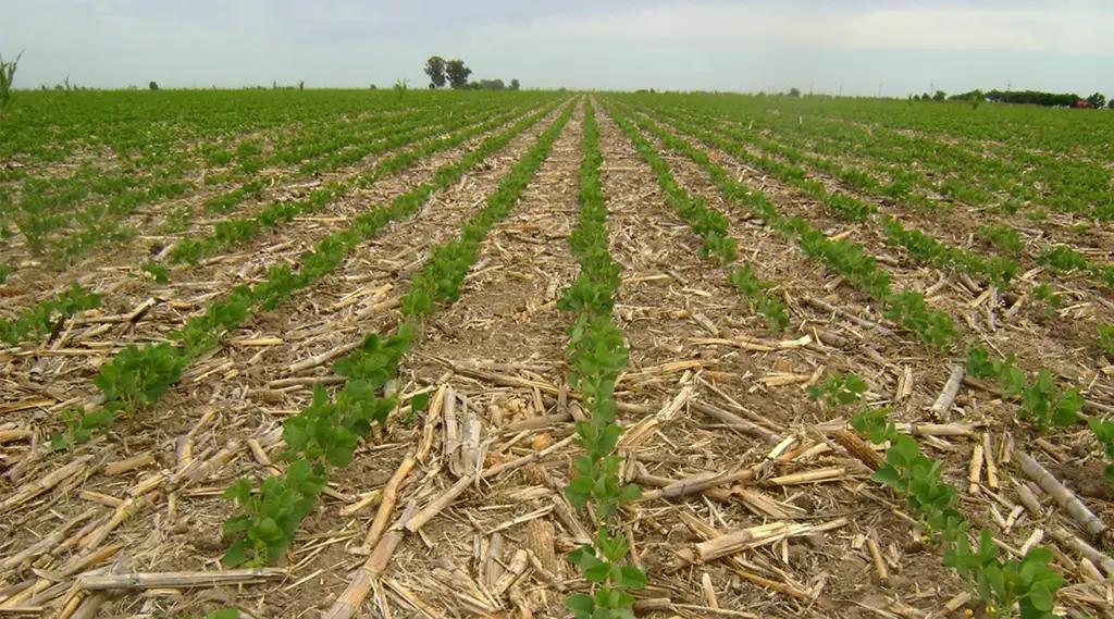 КР выделят $59.5 млн на развитие орошаемого земледелия