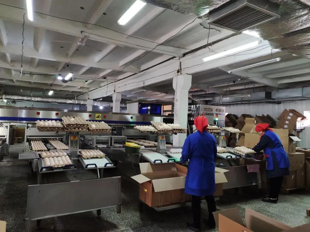 «Ак-Куу» выплатила дивиденды. Сумма составила более 10 млн сомов