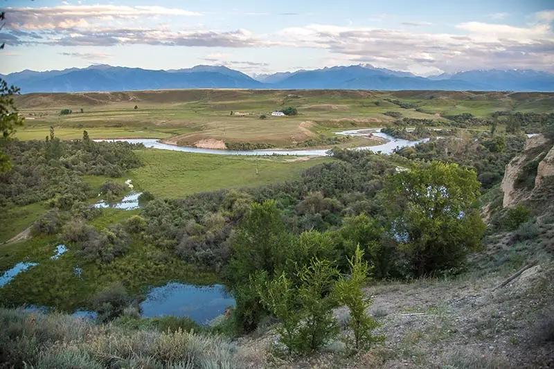 Фермеры получили уникальную возможность приобрести племенной скот в лизинг (видео)