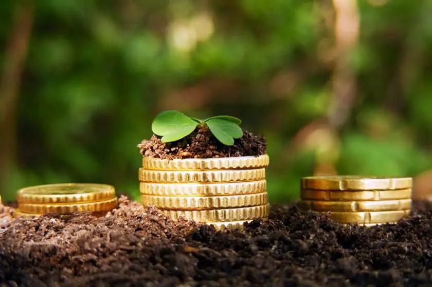 Садыр Жапаров освободил фермеров от уплаты земельного налога