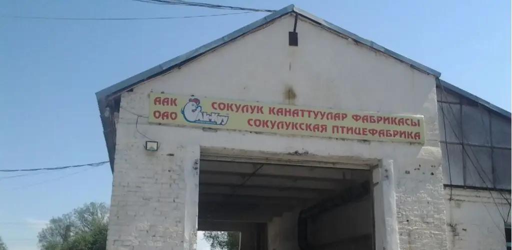 Птицефабрика «Ак-Куу»  направит 25% прибыли на дивиденды
