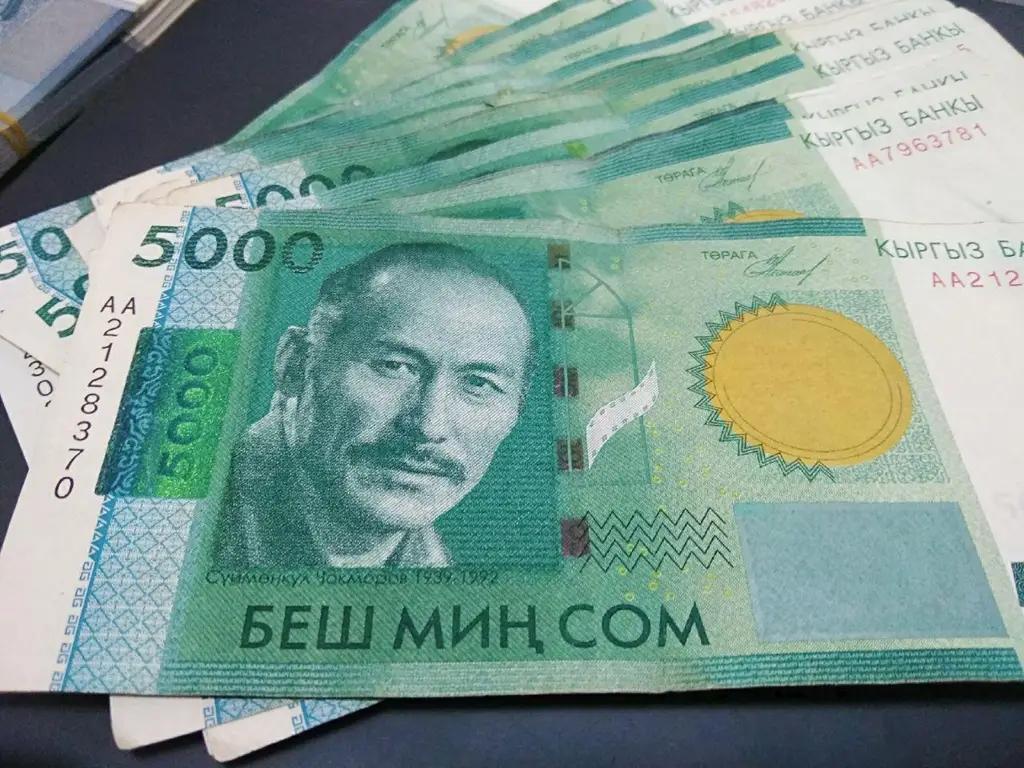 Из КР в Казахстан пытались вывезти смартфоны на 25 млн сомов