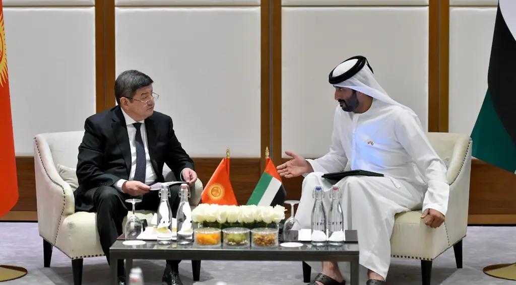 Кабмин намерен отдать реконструкцию аэропорта арабской компании?