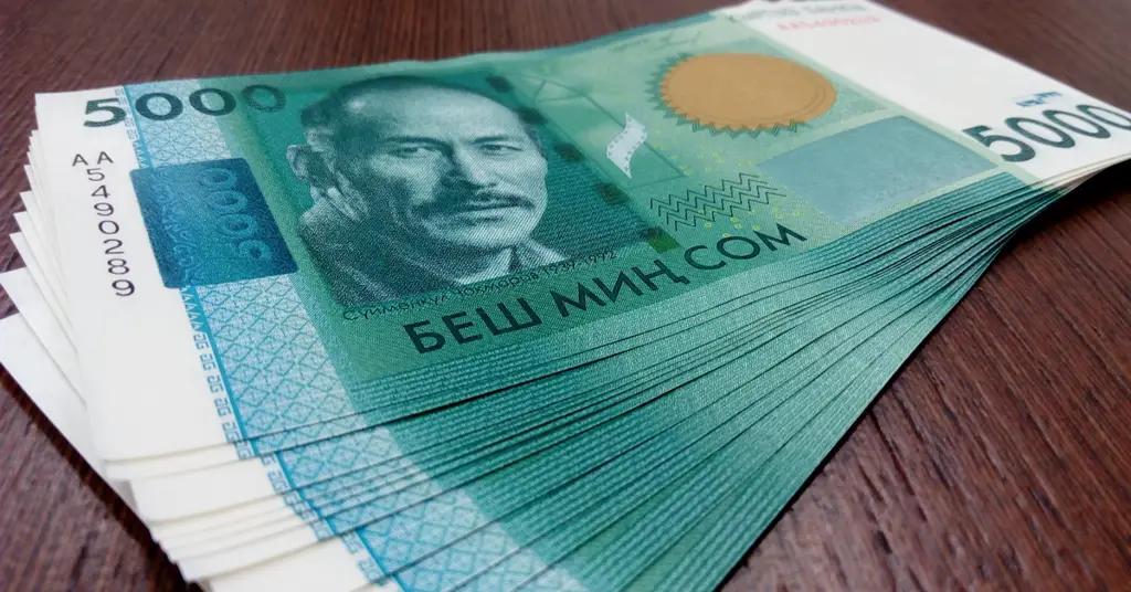 Финансовые нарушения на 1.3 млн сомов выявлены в одном из районов Джалал-Абадской области