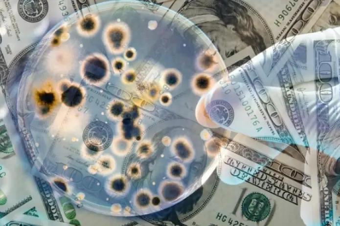 ВОЗ: Коронавирус не передается через банкноты