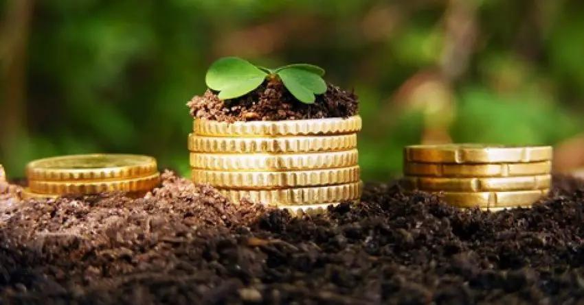 KFW даст Кыргызстану грант в €10 млн на финансирование фермеров