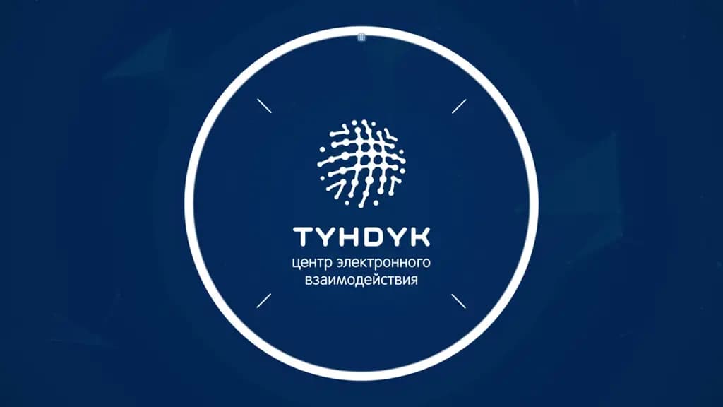 За год приложение «Тундук» использовали почти 8 млн раз
