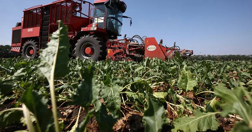 За полгода фермеры КР получили льготные кредиты почти на 3.5 млрд сомов