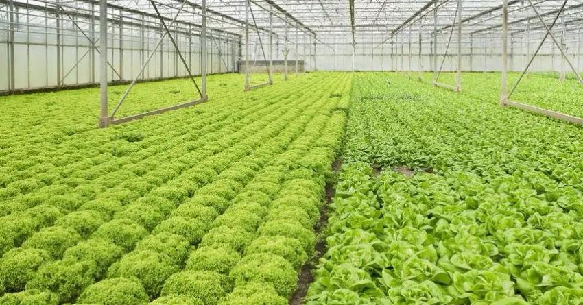 Депутаты: банки должны снизить кредиты для фермеров до 7%