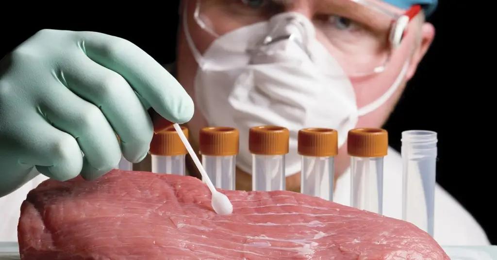 Россия поставит в КР оборудование для первых современных ветлабораторий стоимостью $1,8 млн