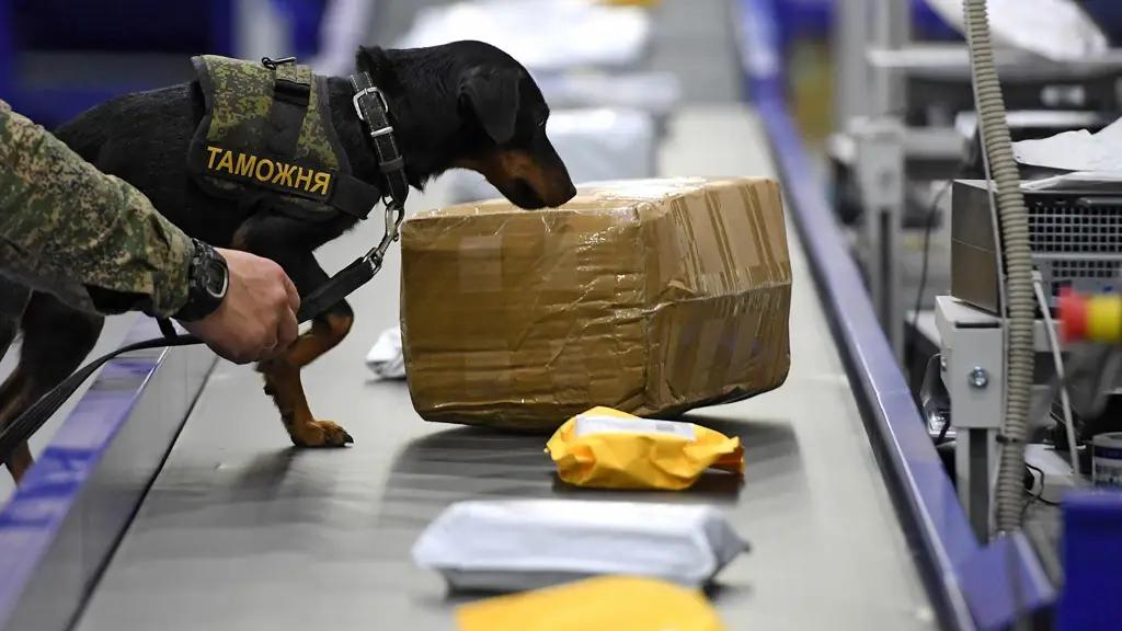 Таможня оценила ущерб от контрабанды за неполный год почти в 1 млрд сомов