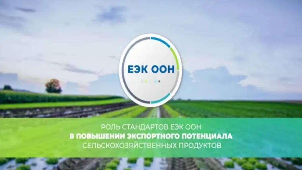 «Кыргызстандарт» проводит работу по продвижению стандартов ЕЭК ООН