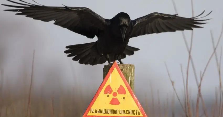 Президент одобрил получение €3,15 млн гранта от ЕС на ремедиацию урановых хвостохранилищ