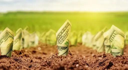 В 2019 году фермерам выдано льготных кредитов на 5.1 млрд сомов