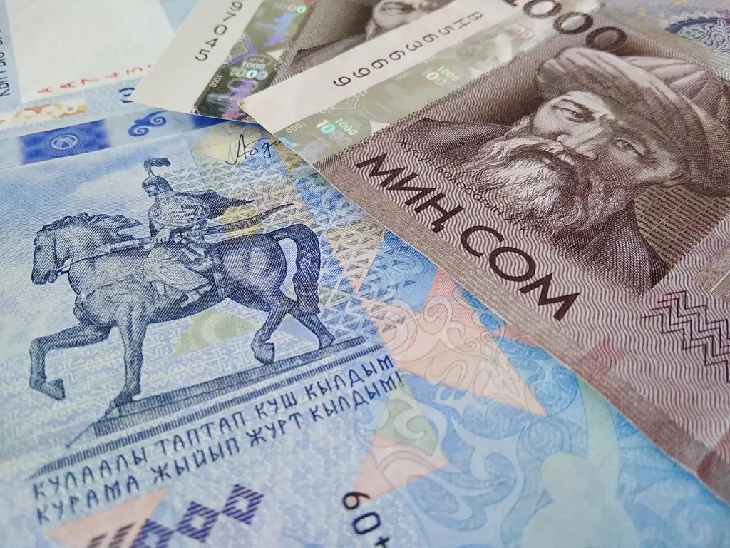 В 2019 году пособия при рождении ребенка получили 161.8 тысячи человек