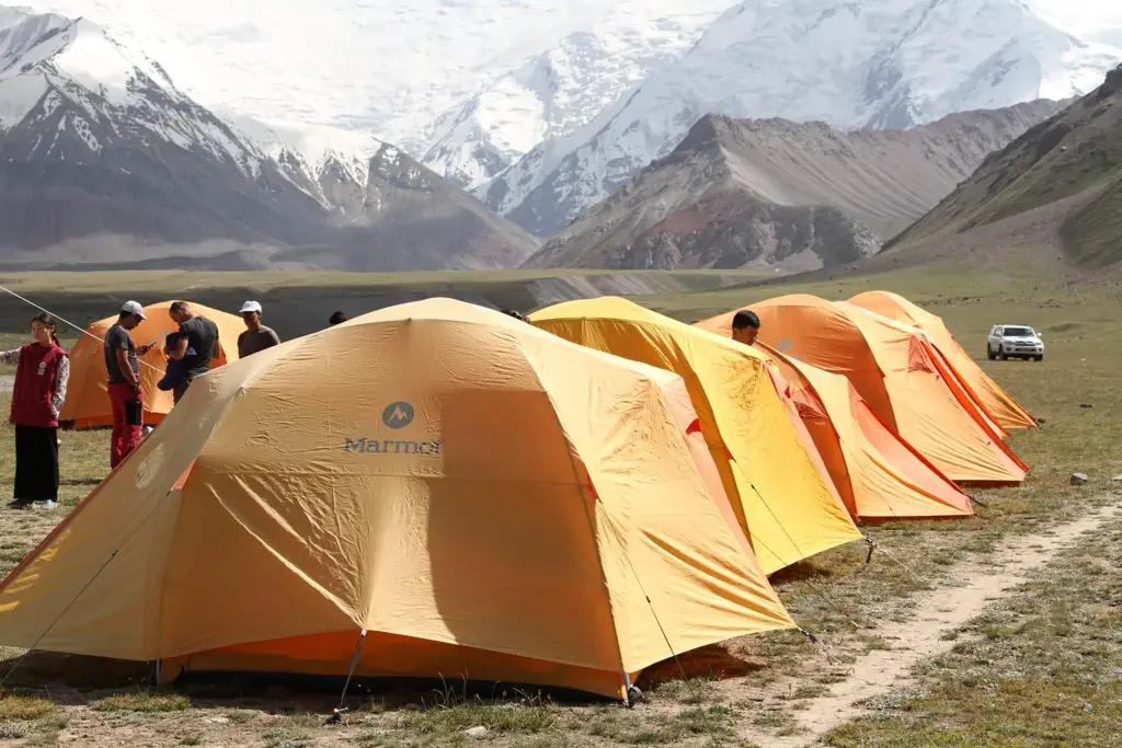 Доноры выделили Кыргызстану $17.6 тысячи на уборку пика Ленина