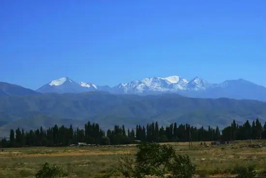 Кара-Суйскому району вернули участки стоимостью 20 млн сомов