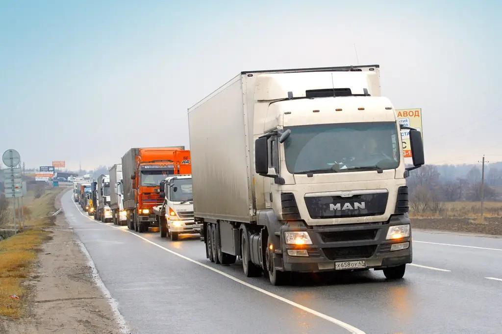 В Тюмень с начала года не допущено 113 тонн сельхозпродукции из КР и РК