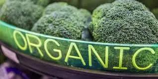 В Кыргызстане откроется лаборатория по выдаче органических сертификатов