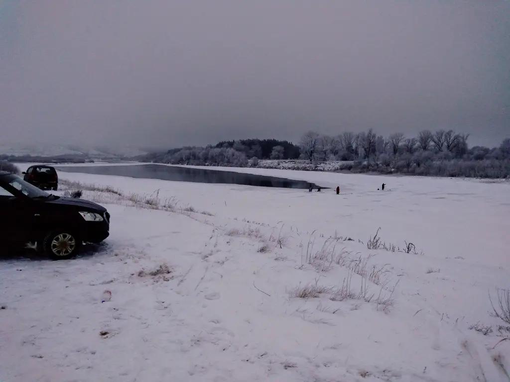 Токмокскому лесничеству нанесен ущерб в 21.6 млн сомов — прокуратура