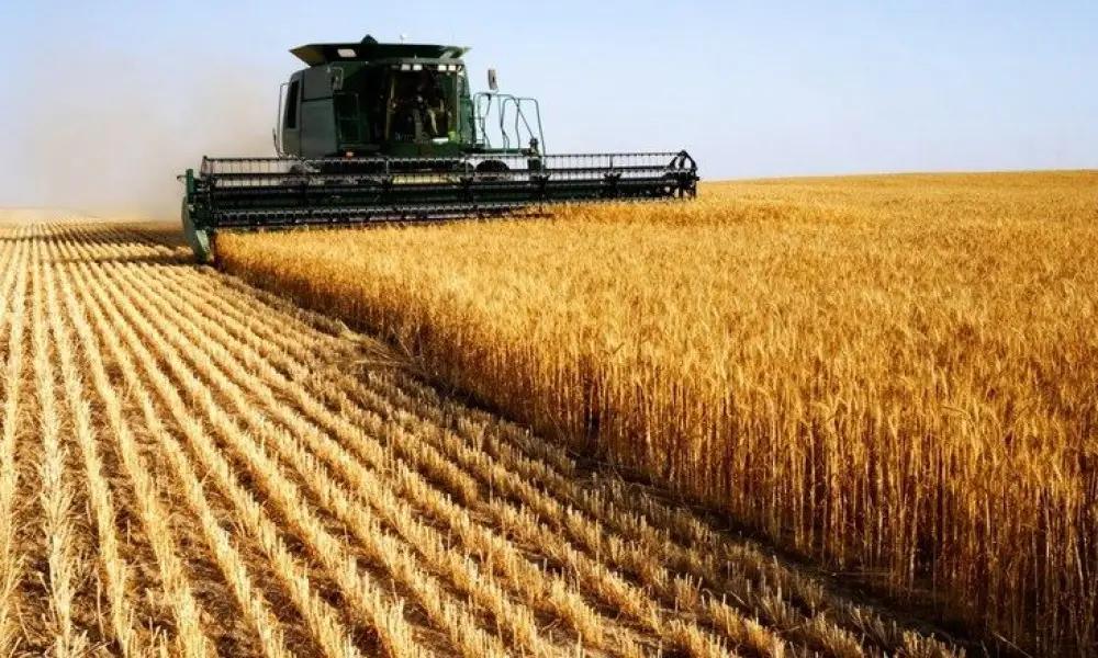 Минводсельпром окажет поддержку агропромышленному комплексу