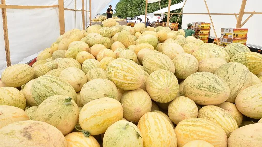 Дыни, уголь, стеклотара. О последней выявленной контрабанде