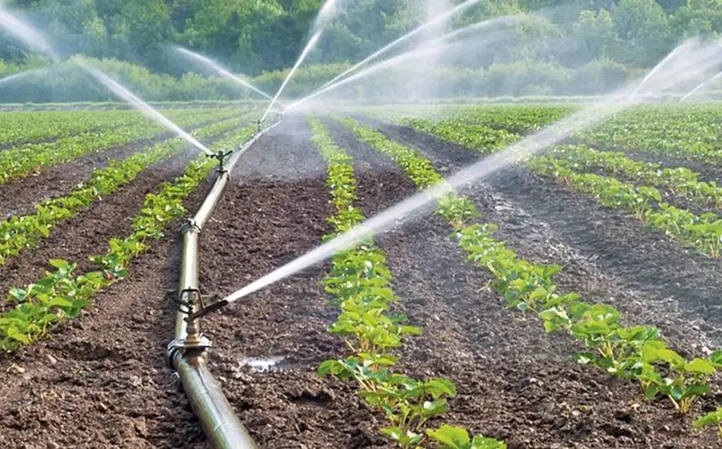 58.65 га орошаемых земель стоимостью 14.6 млн сомов возращены государству