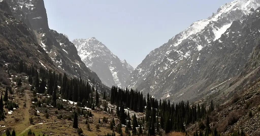 Казахская «Камал Ойл» лишилась крупных месторождений  в КР - Кутессай II и Калесай