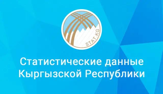 У Нацстаткома КР появилось официальное мобильное приложение StatKG