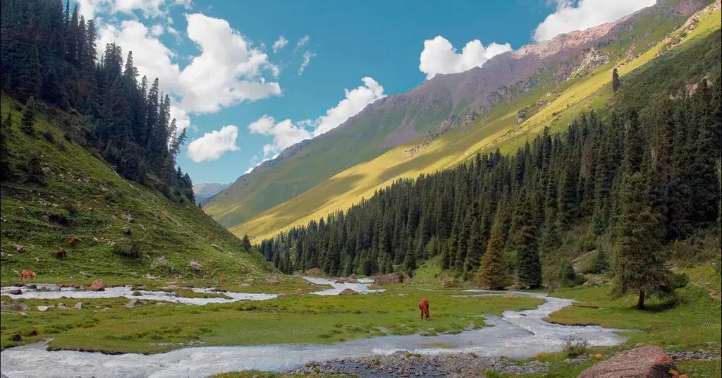 Расходы бюджета на охрану окружающей среды увеличены в 1.4 раза