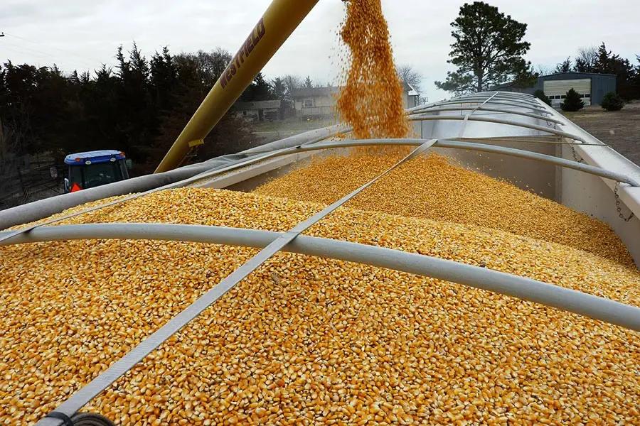 Общая система учета сельхозпродукции ЕАЭС начнет работать не ранее 2026 года