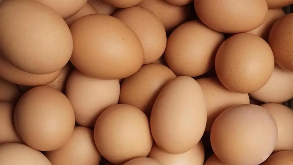 Кыргызстан столкнется с нехваткой куриных яиц?