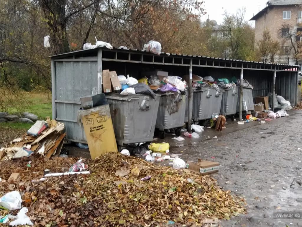 Мэрией выявлено нарушений правил благоустройства на 14.2 млн сомов