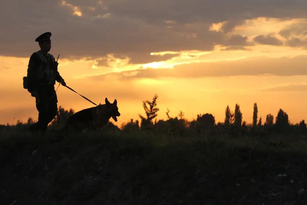 Пограничники пресекли провоз контрабанды на 40 млн сомов