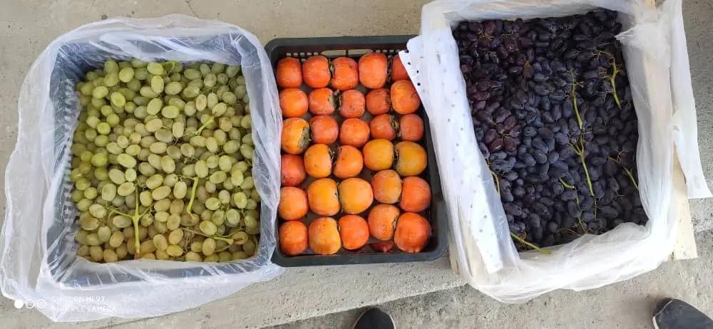 На юге КР пресечена контрабанда почти на 700 тысяч сомов