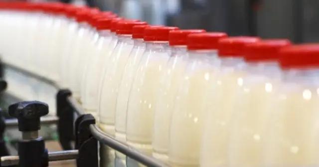 IFC поможет Кыргызстану развивать молочную отрасль