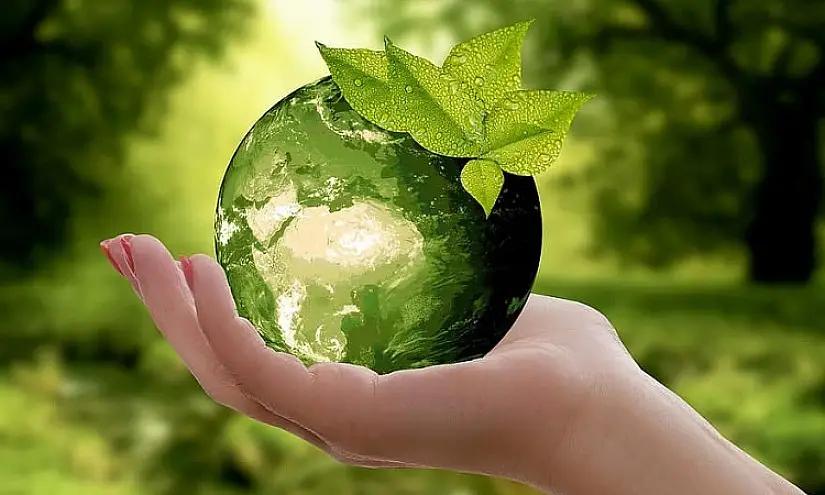 Компаниям из КР рассказали, как получить зеленое финансирование