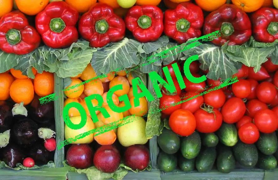 В ЕАЭС планируют сформировать единый рынок органической продукции