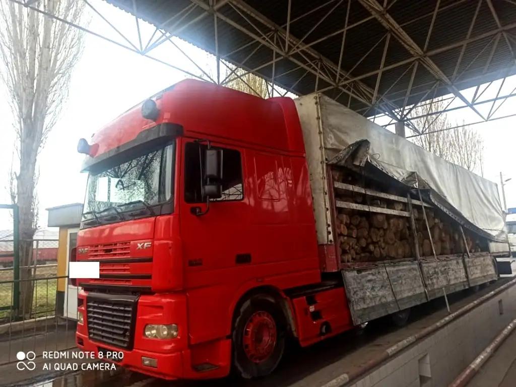 Пограничники пресекли контрабанду ценной древесины