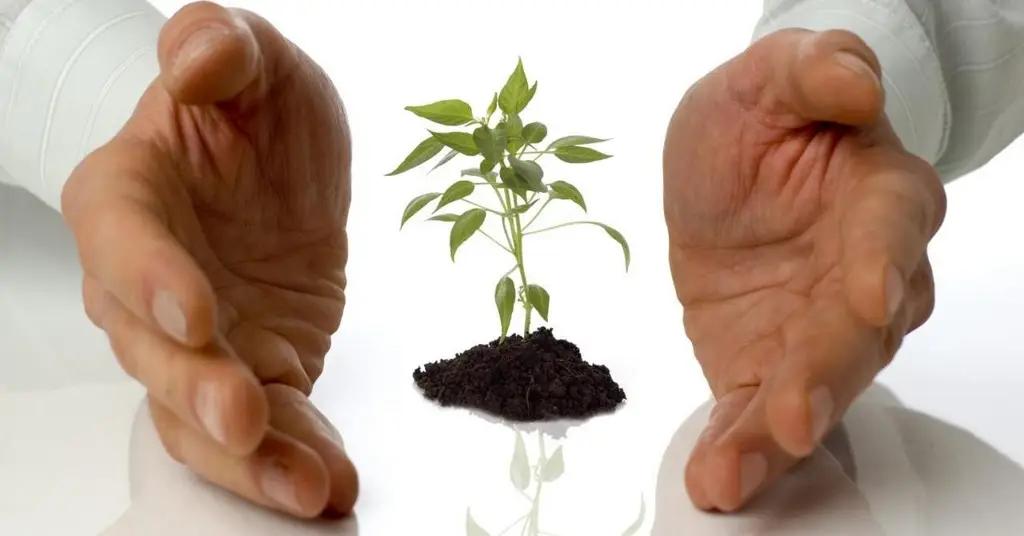 Доля малого бизнеса в Казахстане за год выросла на 20%