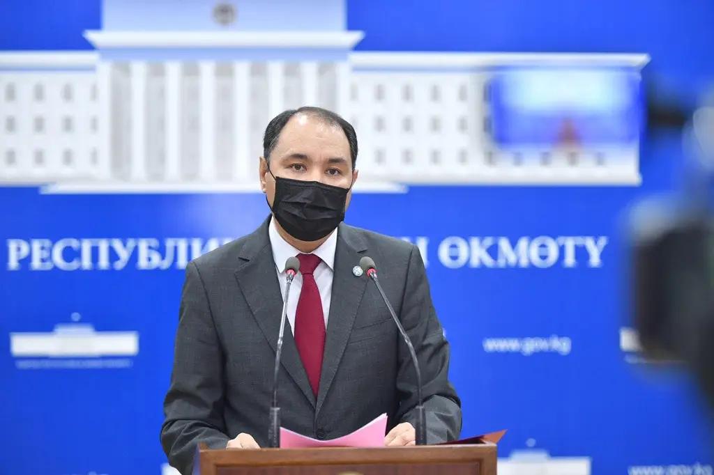 С момента вспышки COVID-19 из-за рубежа вернулись более 20 тысяч кыргызстанцев