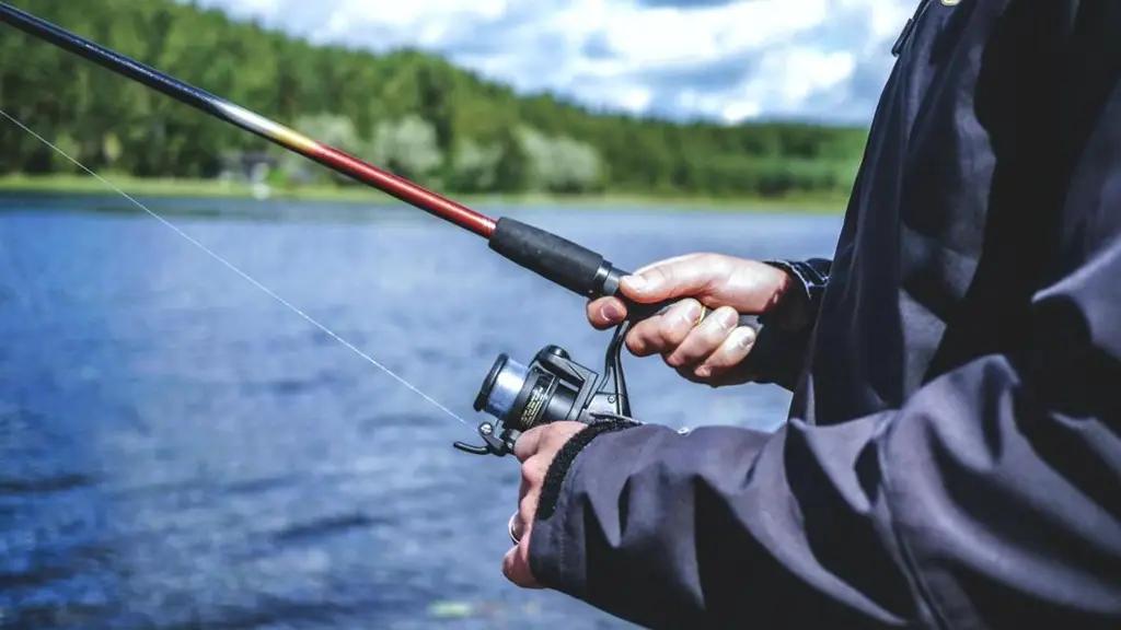 43 рыбоводческих хозяйства оштрафованы на 239.5 тысячи сомов