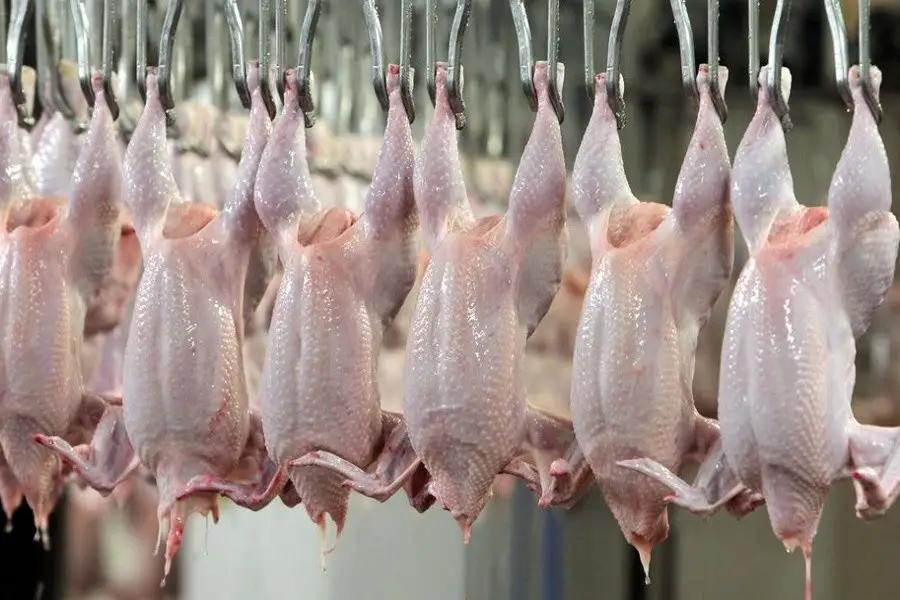 В Кыргызстане растет производство мяса