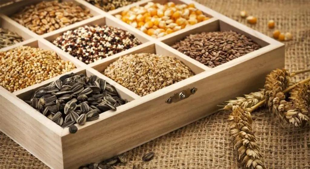 В КР намерены развивать семеноводческие хозяйства