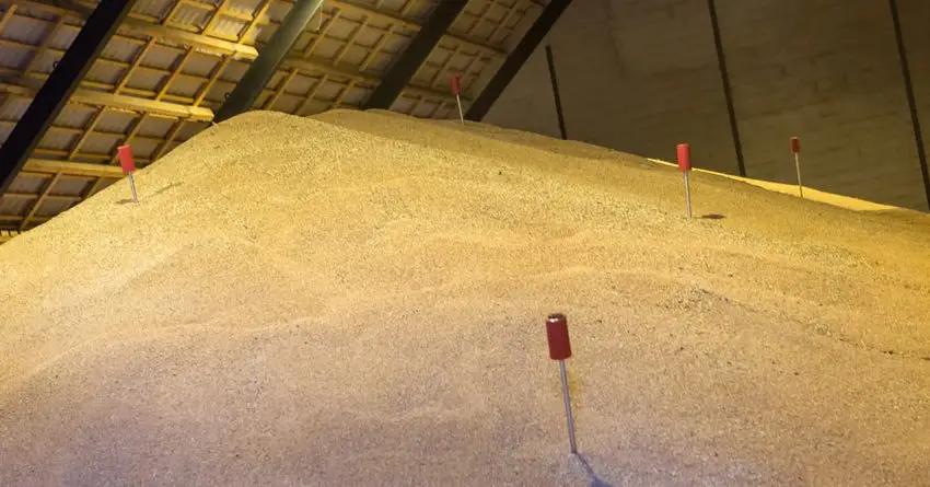 Фермерам понравилась идея брать кредиты под залог сельхозпродукции
