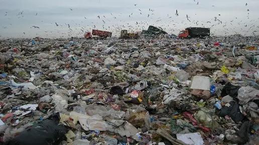 На месте мусорного полигона Бишкека могут построить парк