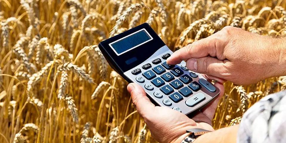 За год сельхозкомпании получили штрафов на 1.5 млн сомов