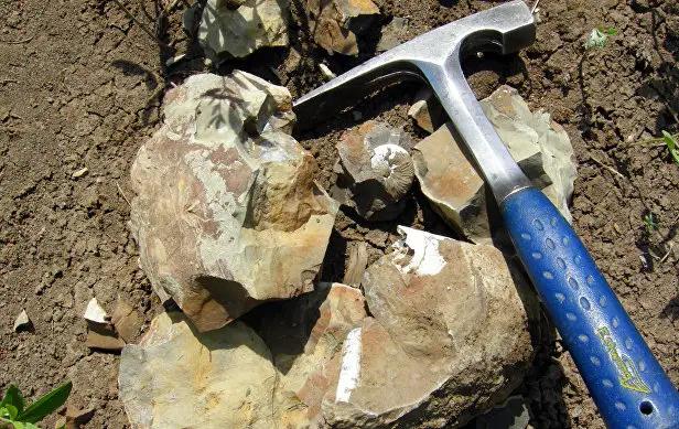 Золотое месторождение «Карабулак» ушло на аукционе за $770 тысяч