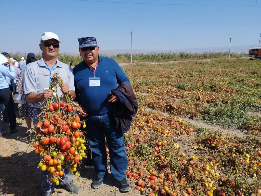 Фермерам показали урожайность при использовании современных технологий
