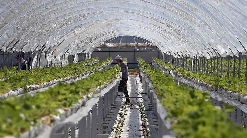 В КР хотят создать платформу по продовольственной безопасности